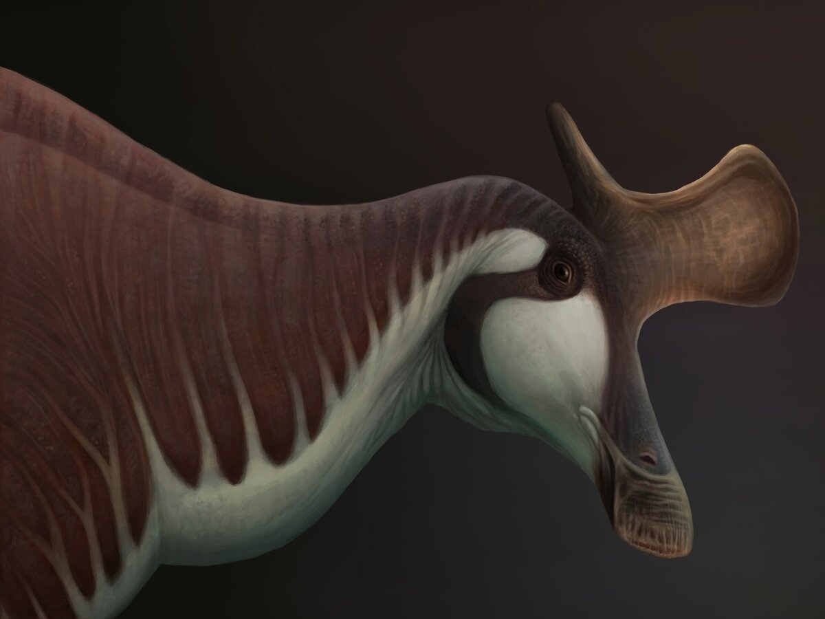 Это не топор, это лайк.