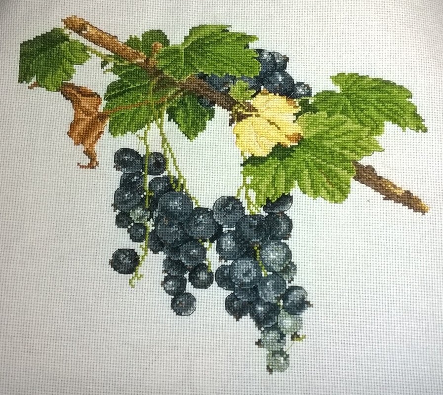 Схемы смородина. Овен - вышивка крестом красная смородина. Овен Смородинка вышивка. Вышивка смородина. Вышивка крестом Смородинка.