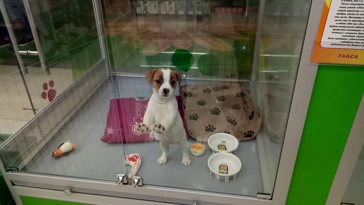 Фото из интернета