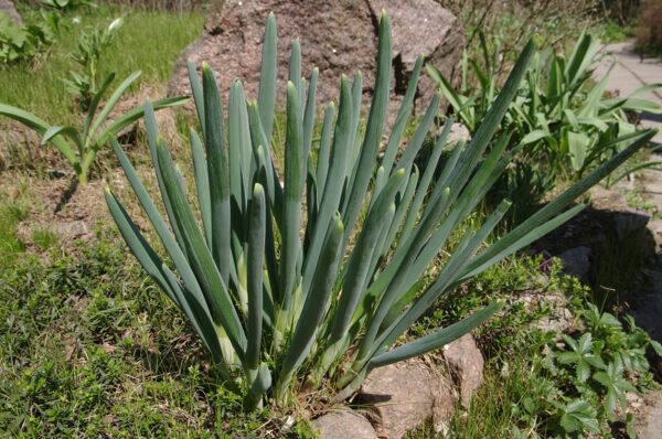    Фото: здоровое-питание.рф