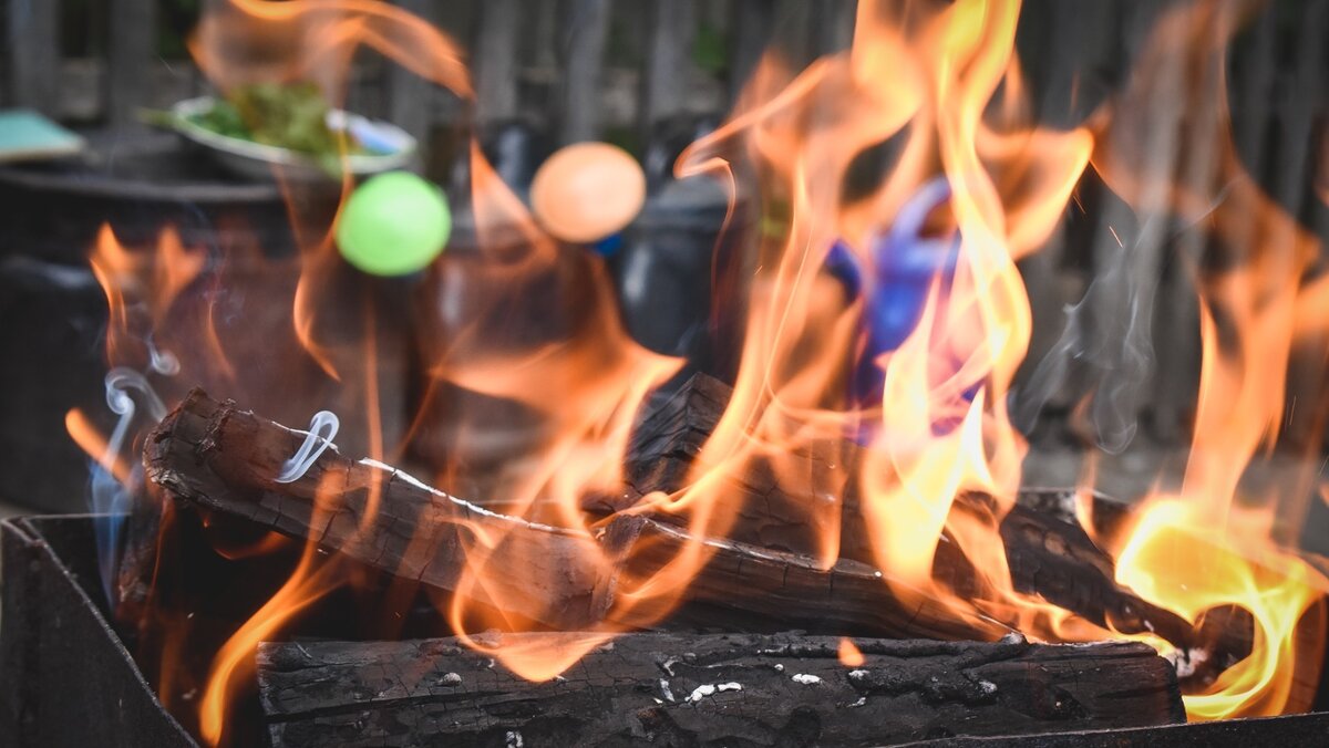     Омичам напомнили, где запрещено разводить костры и использовать открытый огонь.