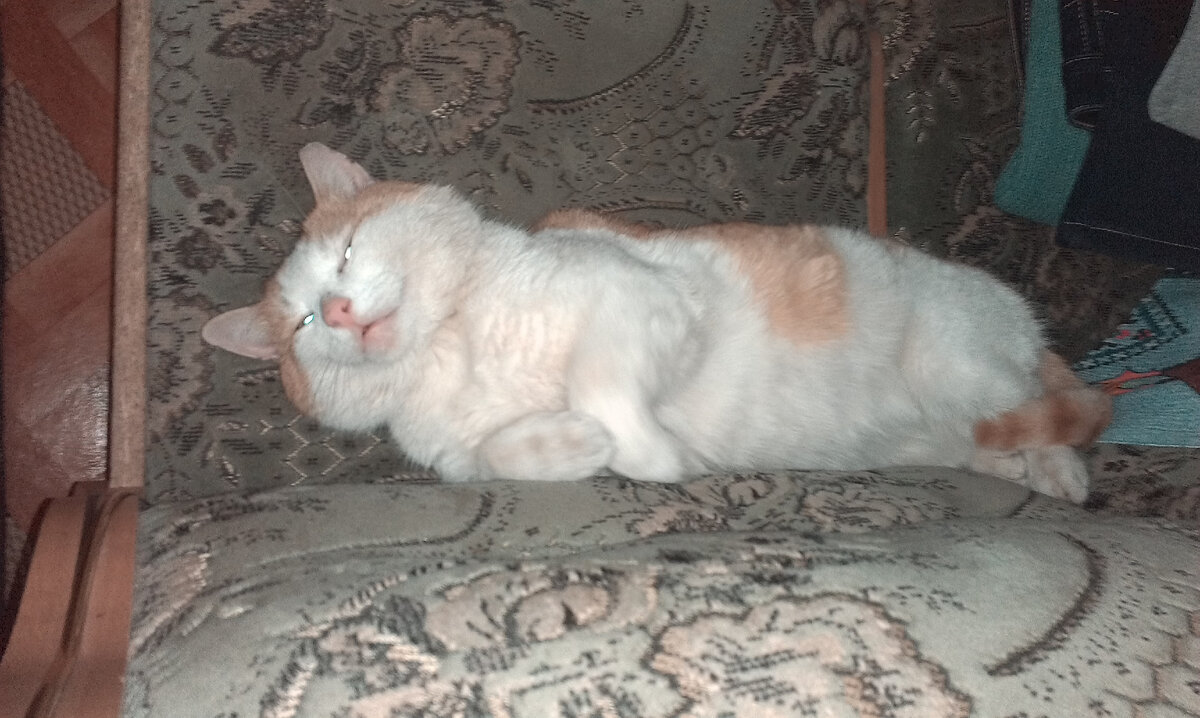 Когда вкусно покушал