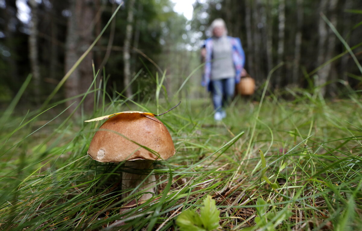 Сергей Карпухин/ТАСС