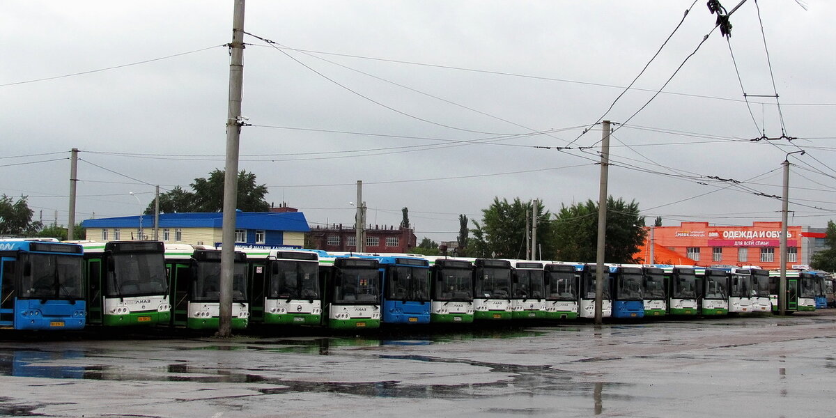 Автор фото: Джесси. Источник — fotobus.msk.ru