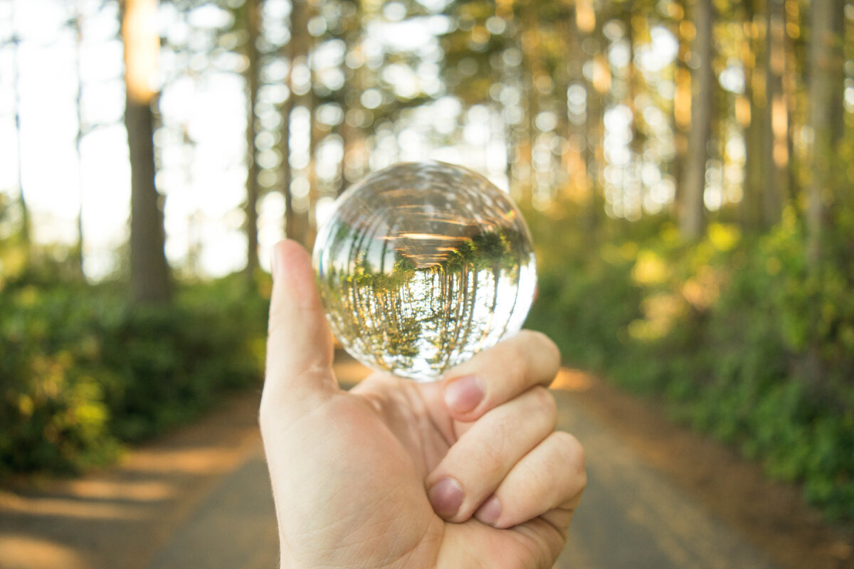vecteezy_a-view-of-a-person-holding-a-lensball-in-a-park