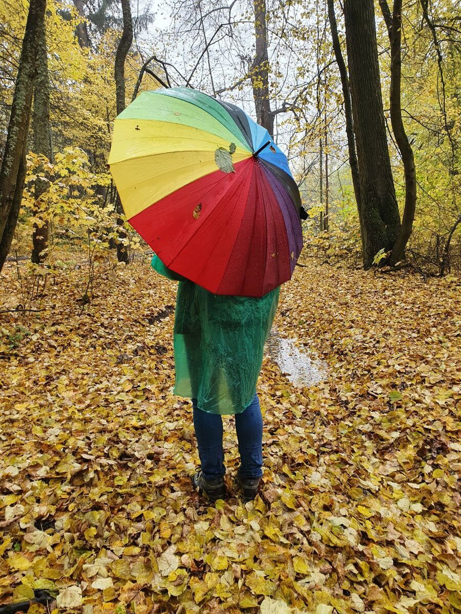Я, дождевик и любимый разноцветный зонт в осеннем золоте листьев.