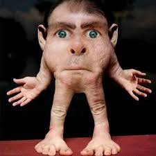  Игра начинается всех вышебают и остаётся один гном и в его попасть неко не может 