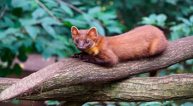 Какая милота 🥰