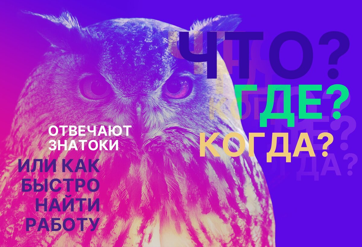 Что? Где? Когда? ‒ Отвечают знатоки, или как быстро найти работу. |  Городские Вакансии | Дзен