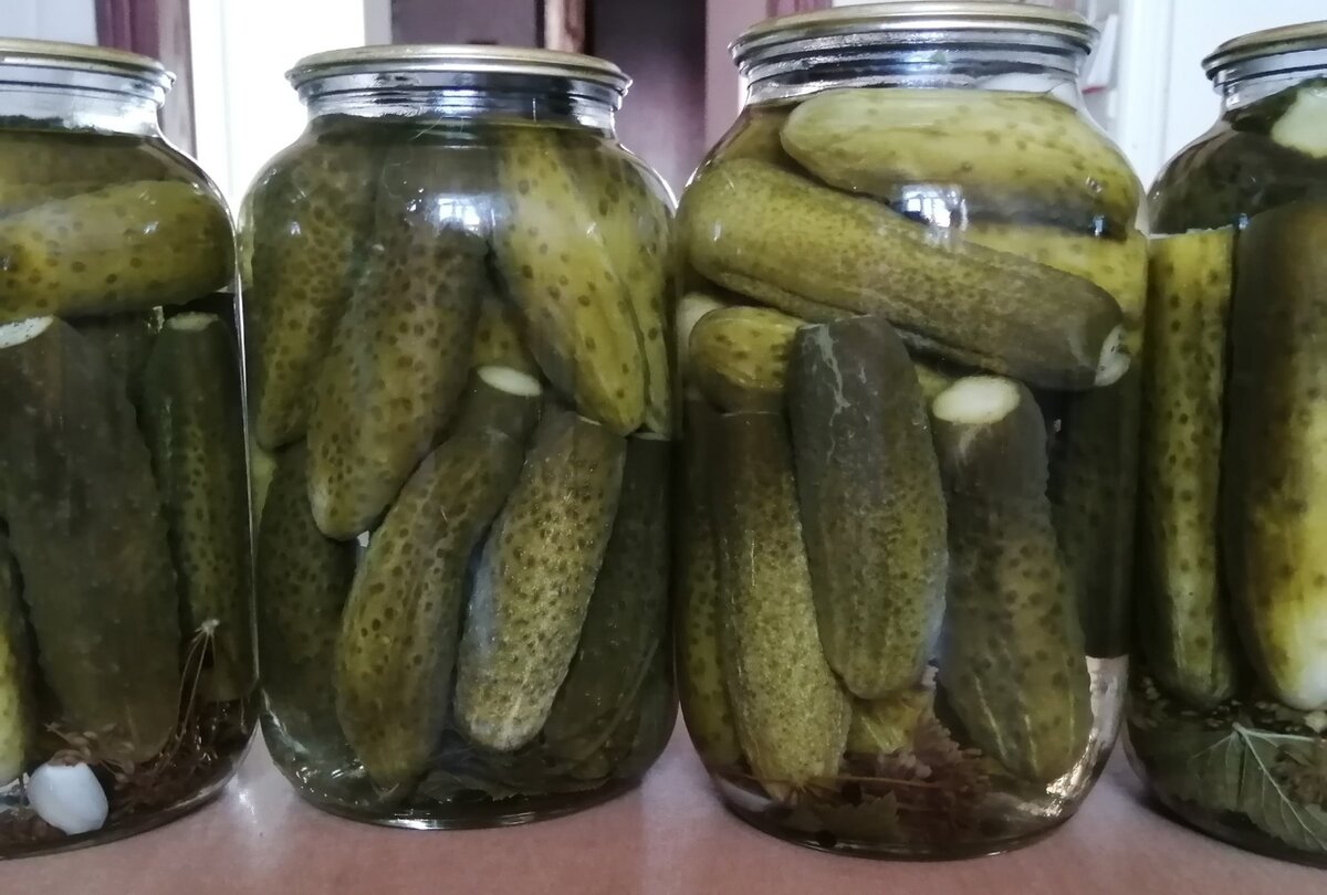 Мои огурчики