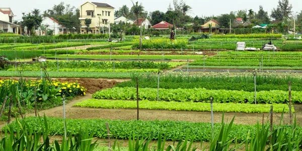 Пермакультура