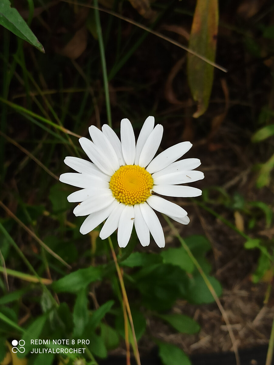 Личный архив