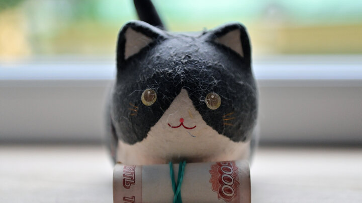 БАРАНОВ ВЛАДИМИР/GLOBALLOOKPRESS 