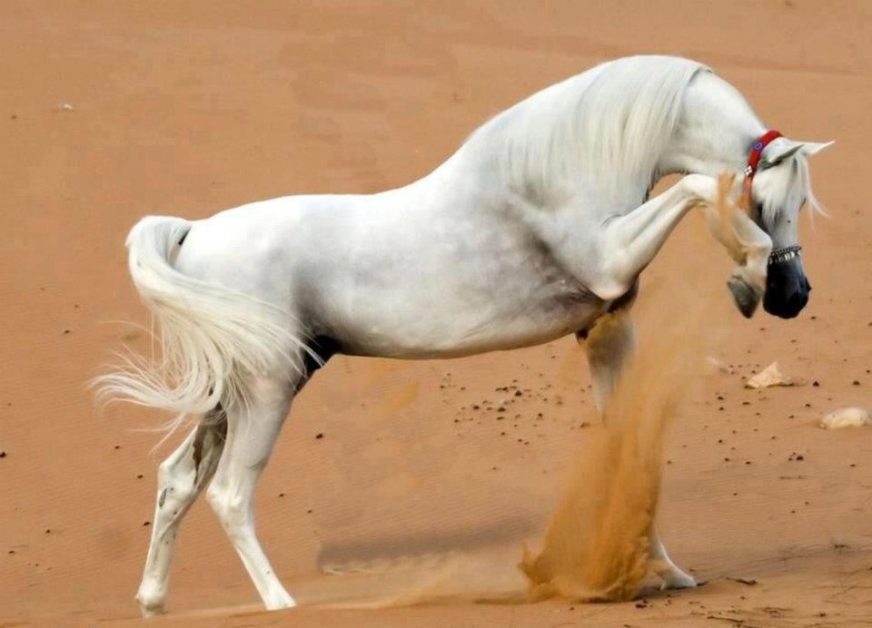 Фото из открытых источников.