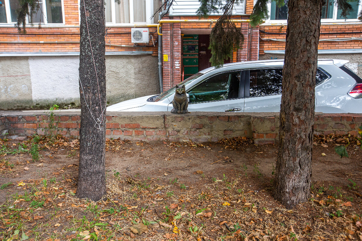 Памятник кошке Мусе. Лыткарино, Московская область. Фото автора статьи 