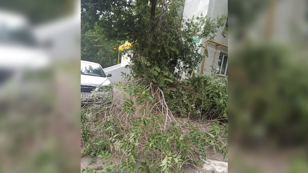 В машине в грозу