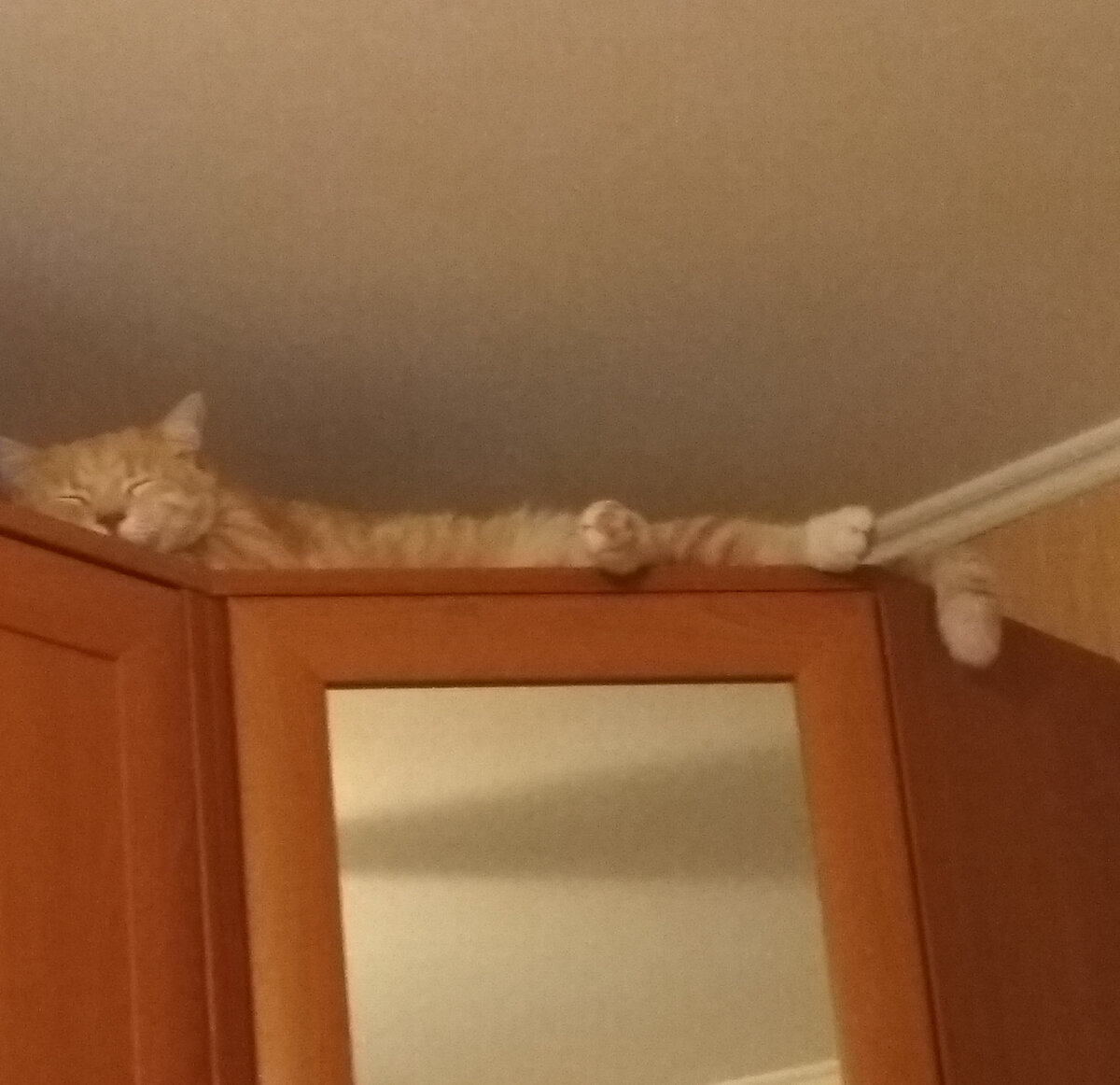 Вот у кого с режимом всё в порядке