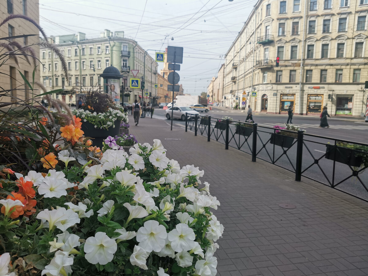 По пути