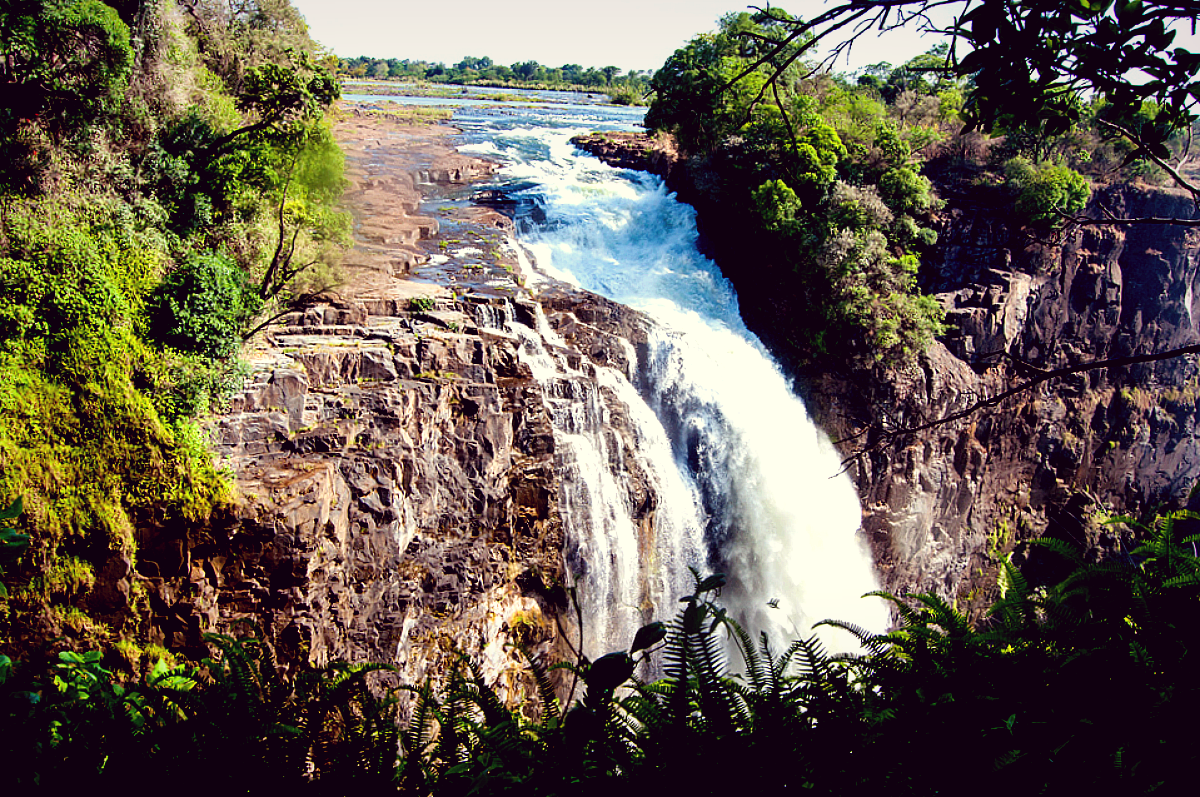 Река Конго Африка. Фото взято из открытых источников.