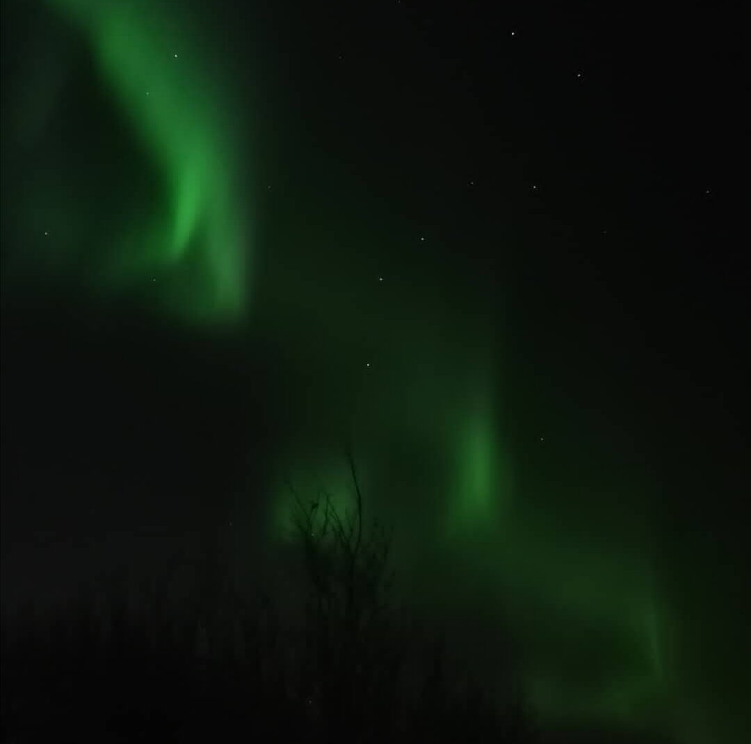 Сияние на фоне Большой Медведицы. Север красноярского края.
