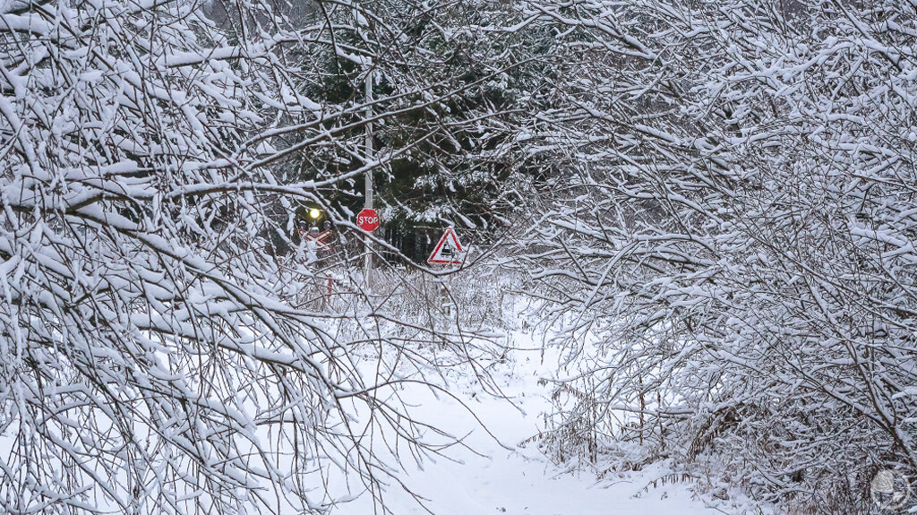Не каждый сможет добраться на машине до этого переезда.