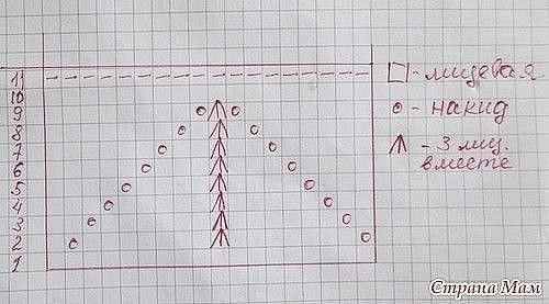 фото  из открытых источников