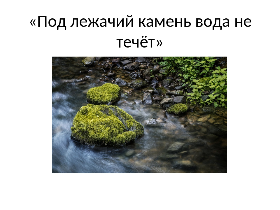 Каждый из нас хотя бы раз в жизни проходил собеседование. Довольно стрессовая ситуация, в которой себя чувствуешь не "в своей тарелке".-5