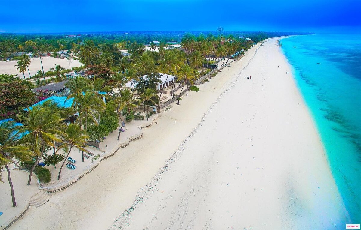 Фотография из открытых источников "Яндекс.Картинки"