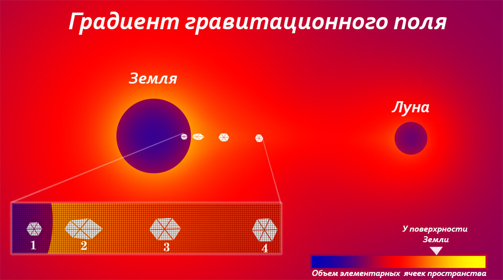 Градиент гравитационного поля на примере размеров ячеек пространственной структуры. Иллюстрация автора.