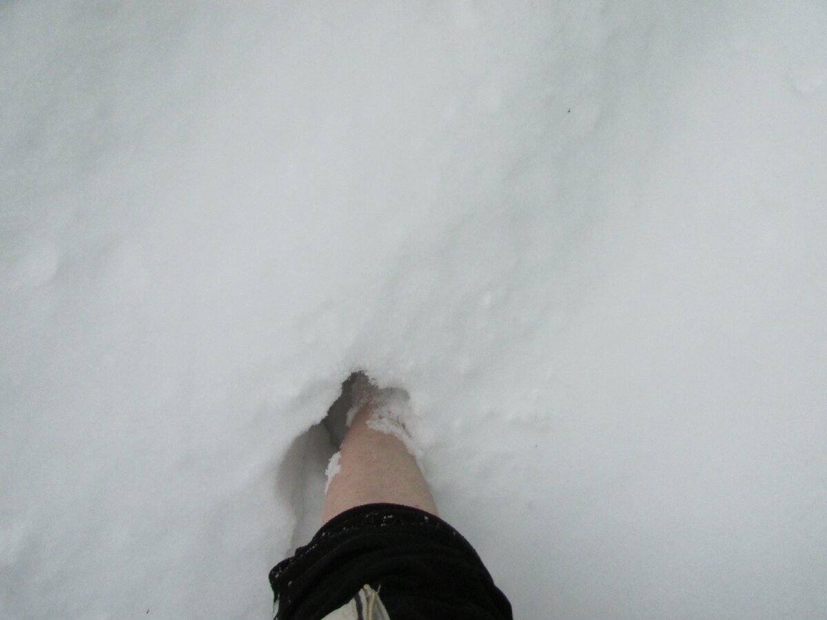 Нога автора