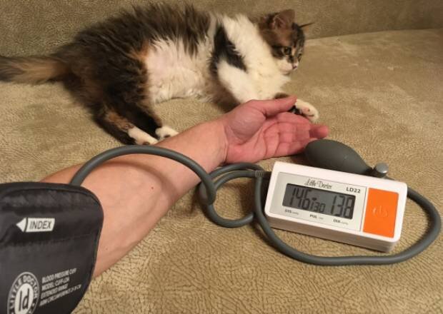 Взято из открытого доступа