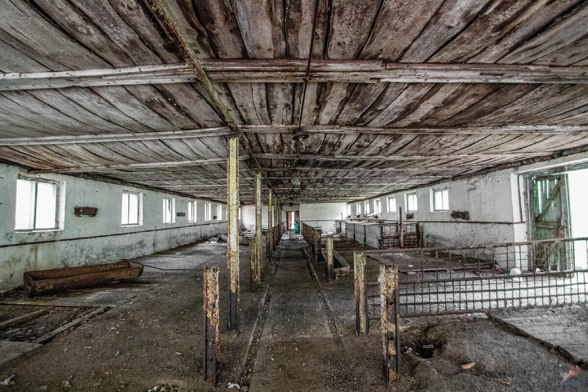 Переночевал в заброшенном свинарнике в Чернобыльской зоне отчуждения. Делюсь впечатлениями