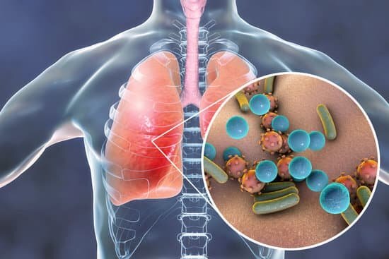 Коронавирусы поражают легкие и вызывают пневмонию, начиная с 3-го дня. Все фото by Canva.