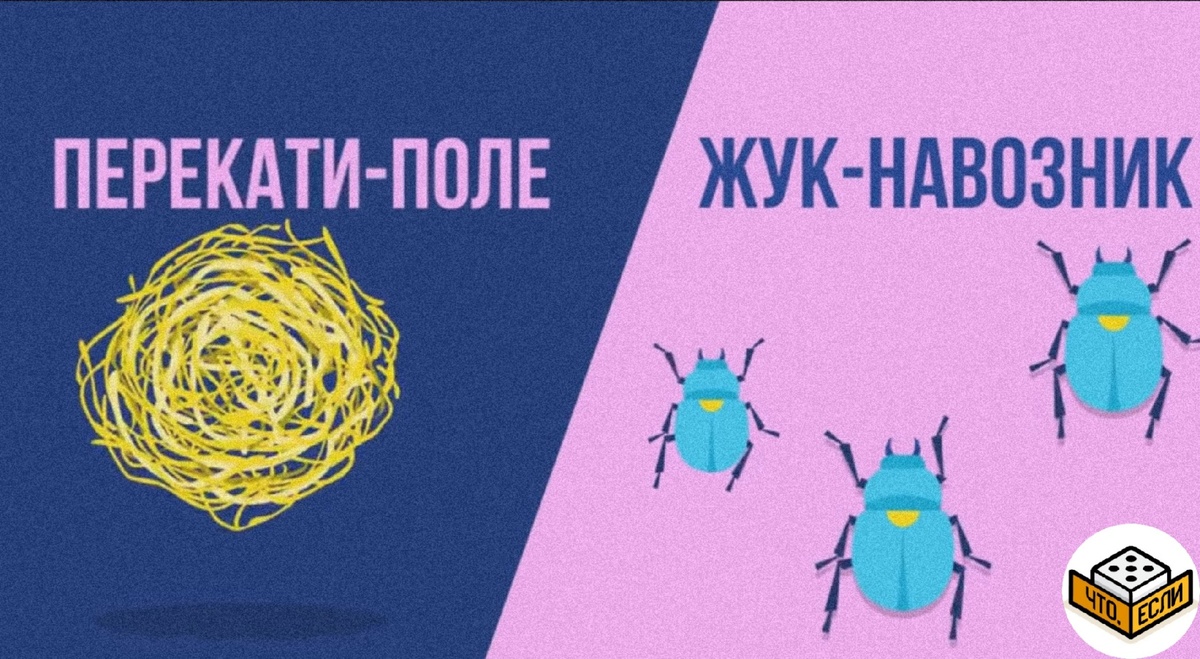 Факты, научные факты,