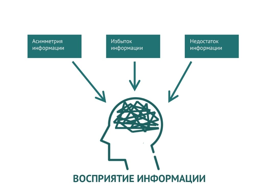 Терентьева Анна Сергеевна. Асимметрия информации на рынке страхования жизни