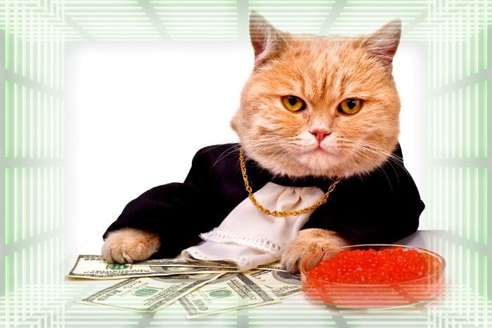 Иллюстративный коллаж