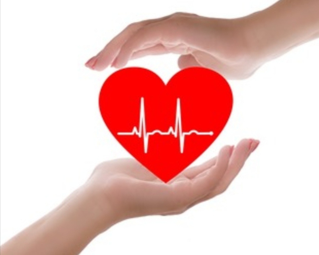 Источник: Яндекс картинки.