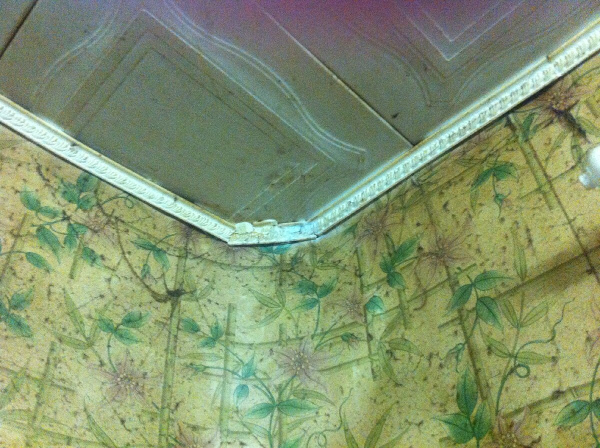 фото — личный архив