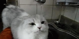 -3