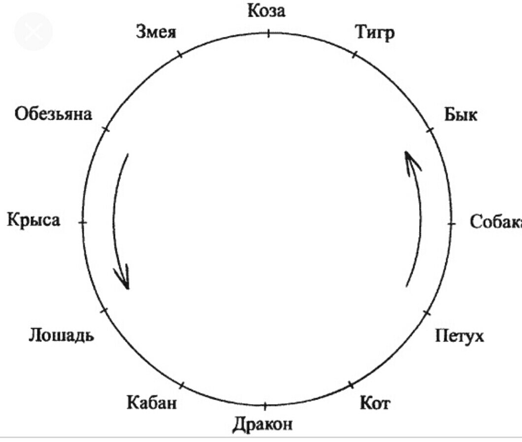 Год козы совместимость. Векторное кольцо Кваша брак. Гороскоп векторное кольцо. Векторный брак. Векторное кольцо зодиакальное.
