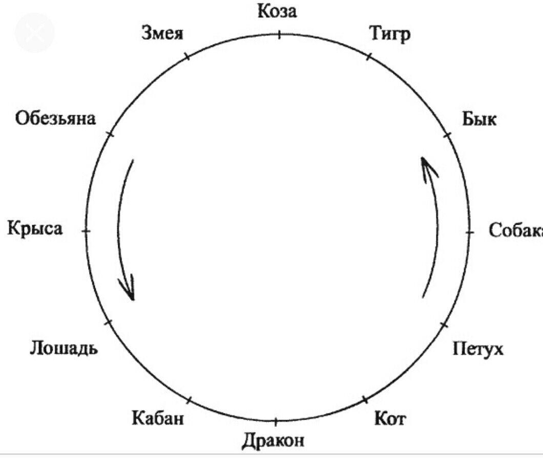 Мужчина дракон совместимость в браке