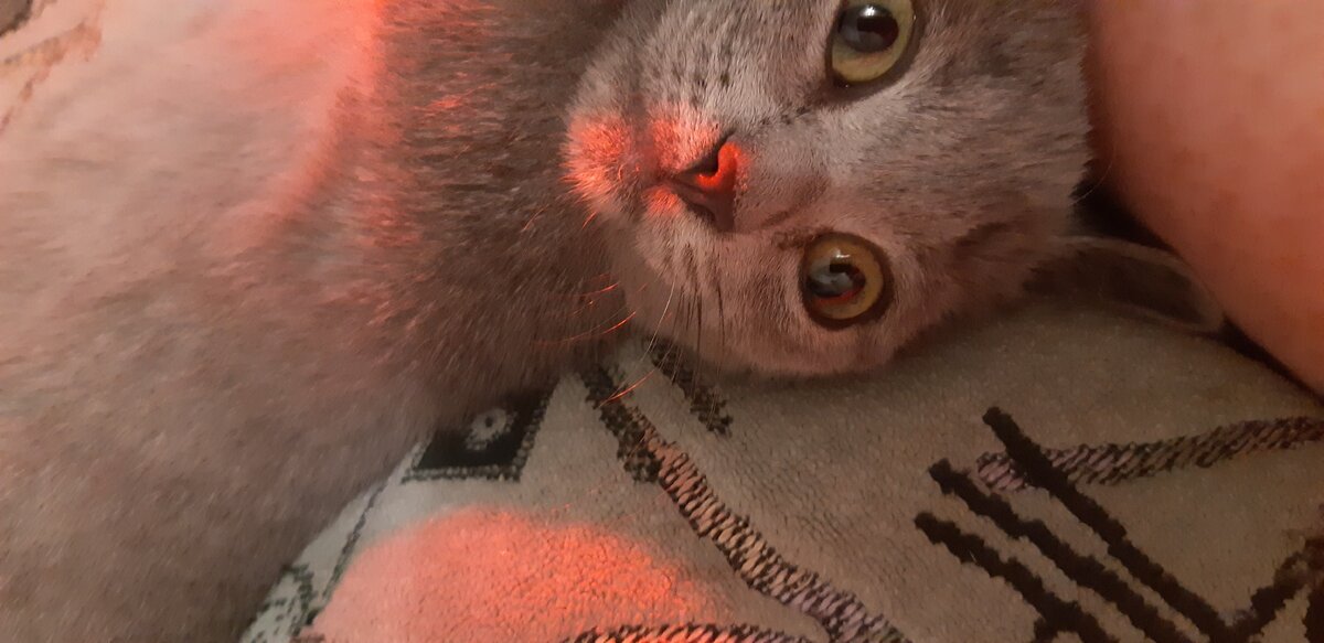 Фото из личного архива 