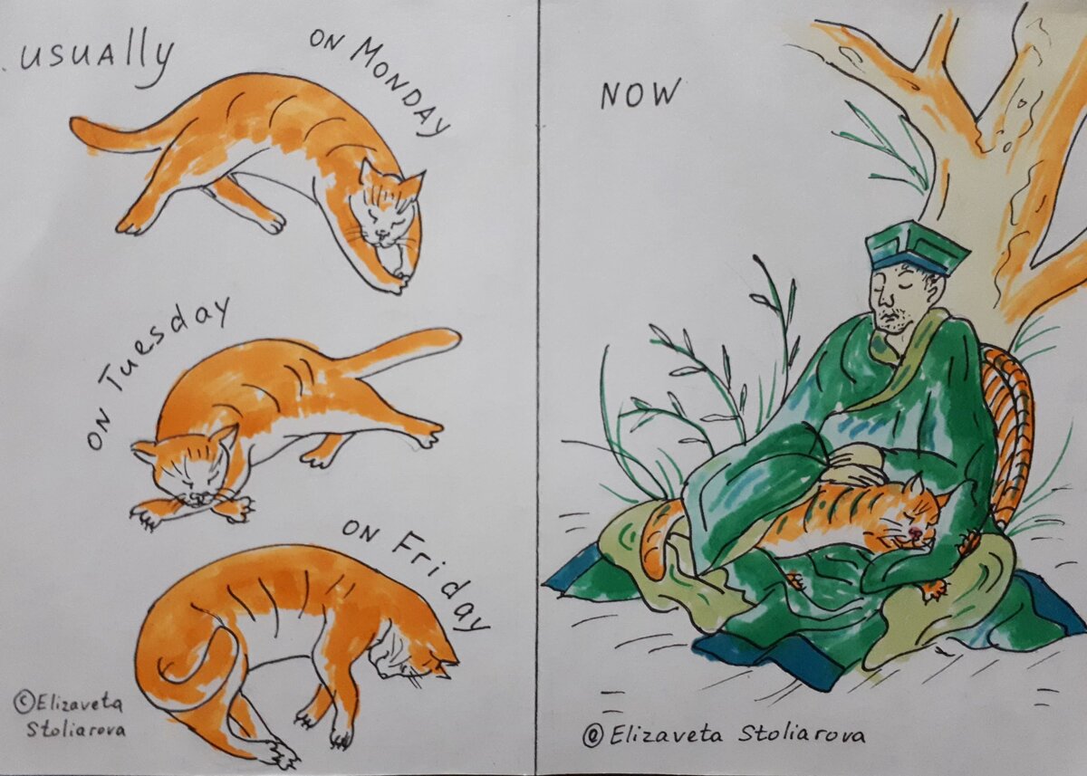 The cat usually sleeps alone. Now, the cat is sleeping with Basho.