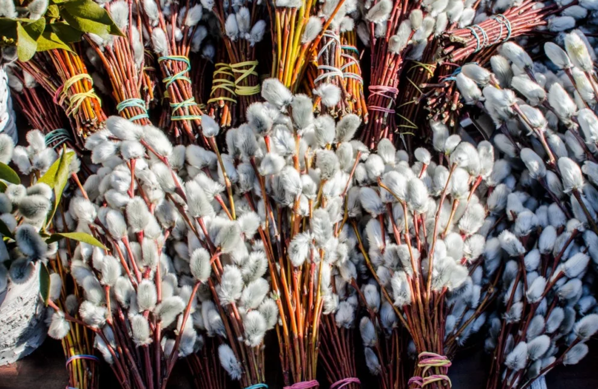 Источник: Яндекс