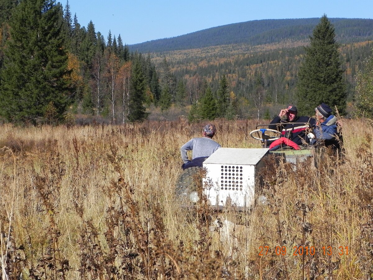 Было бы направление...