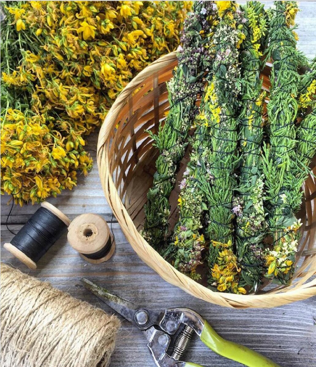 Фото @natasha_i_luna