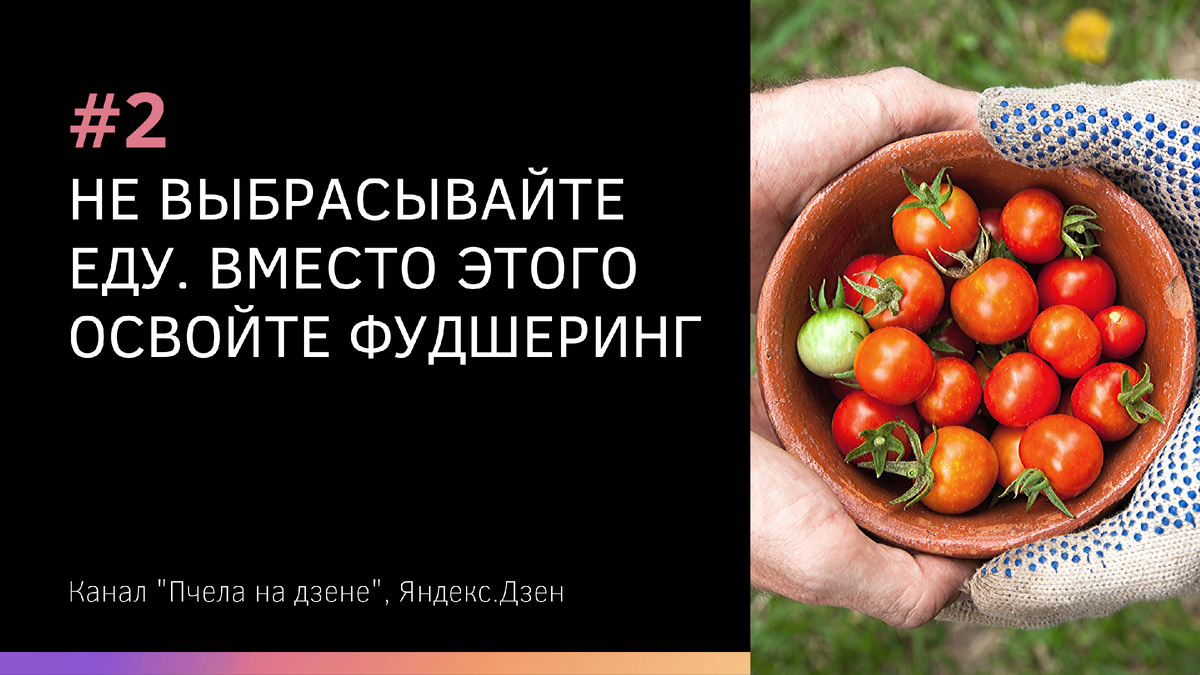 Топ-3 простых советов, как быть экологичнее дома | Пчела на Дзене | Дзен