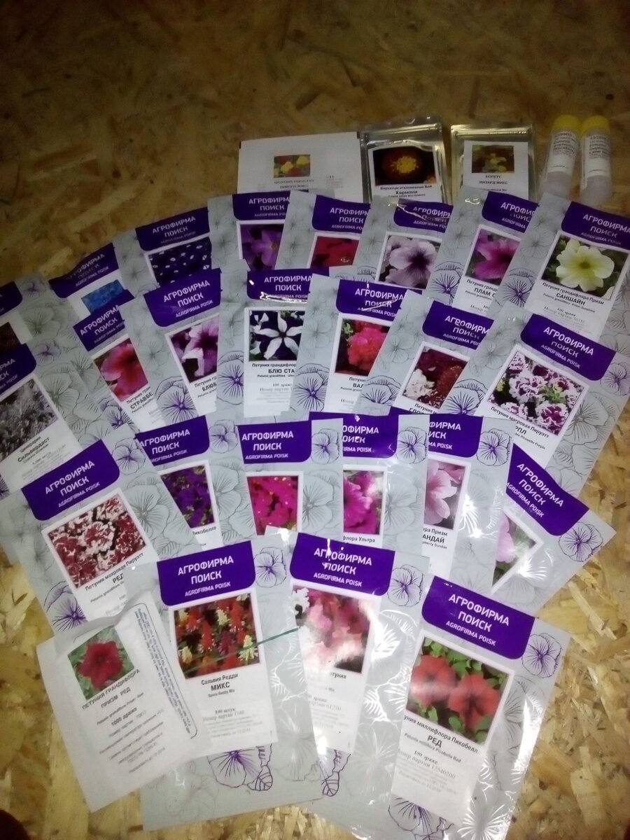 Профессиональные семена (личное фото).