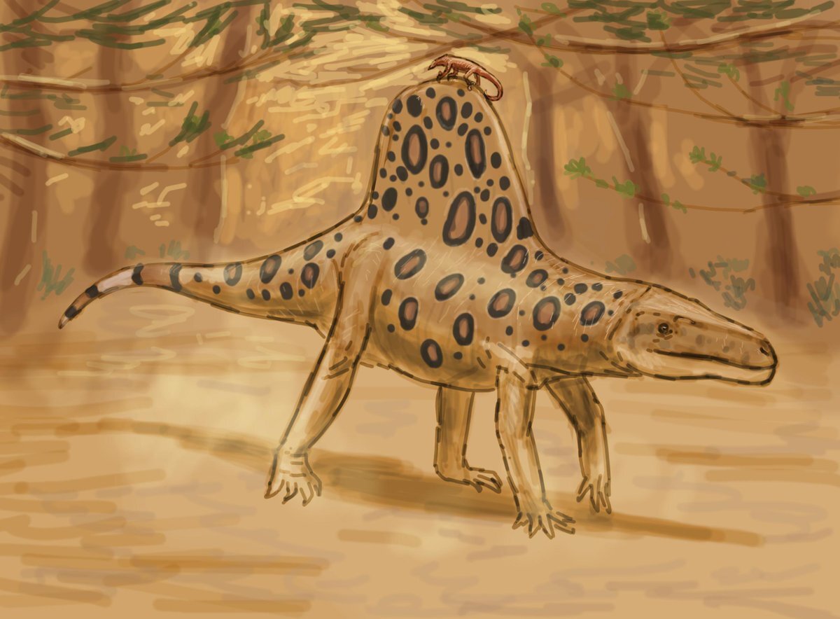 Аризоназавр