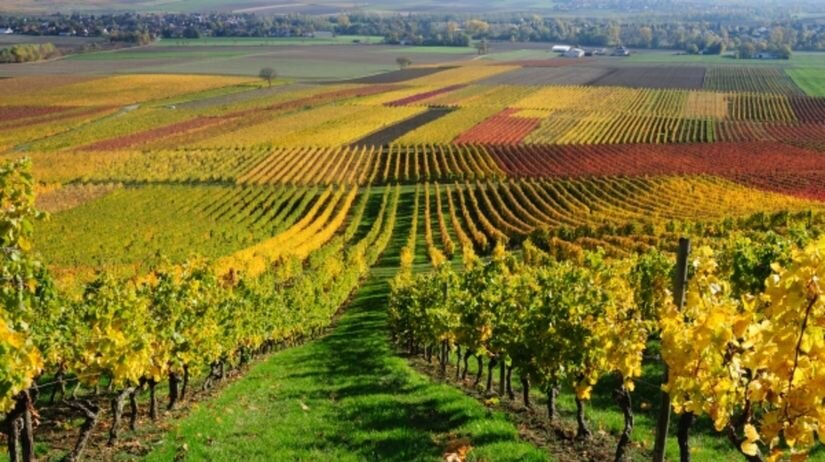 Источник: nazory.pravda.sk